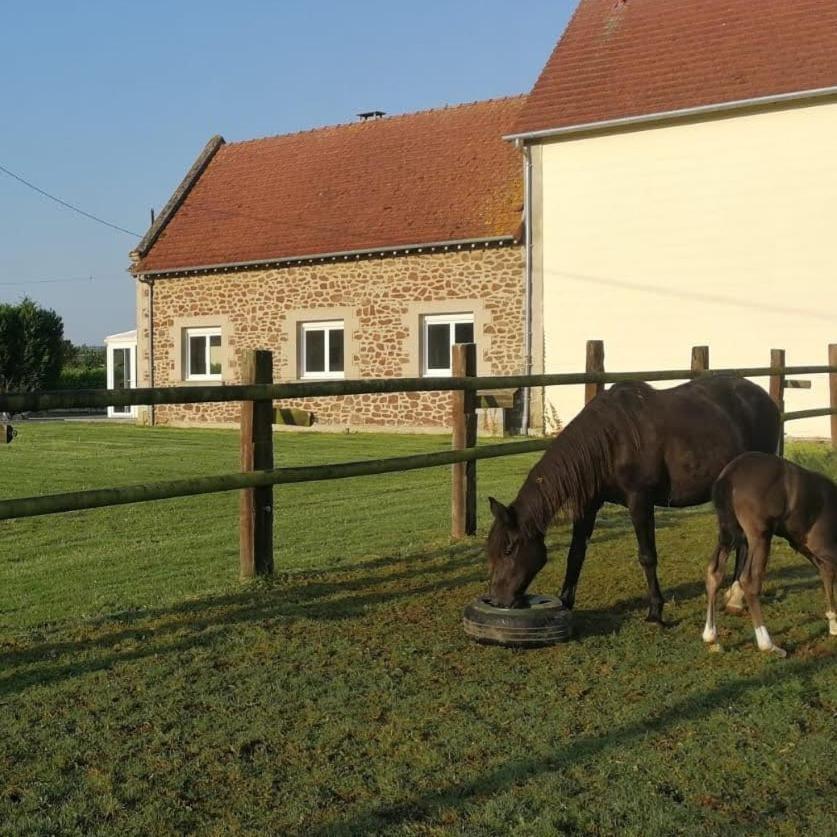 Hébergement de vacances Le Du Haras D'havetot *